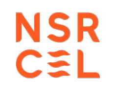 NSR logo - Client of XIAODING TECH, a leading one-stop product design and manufacturing company based in Shenzhen, China